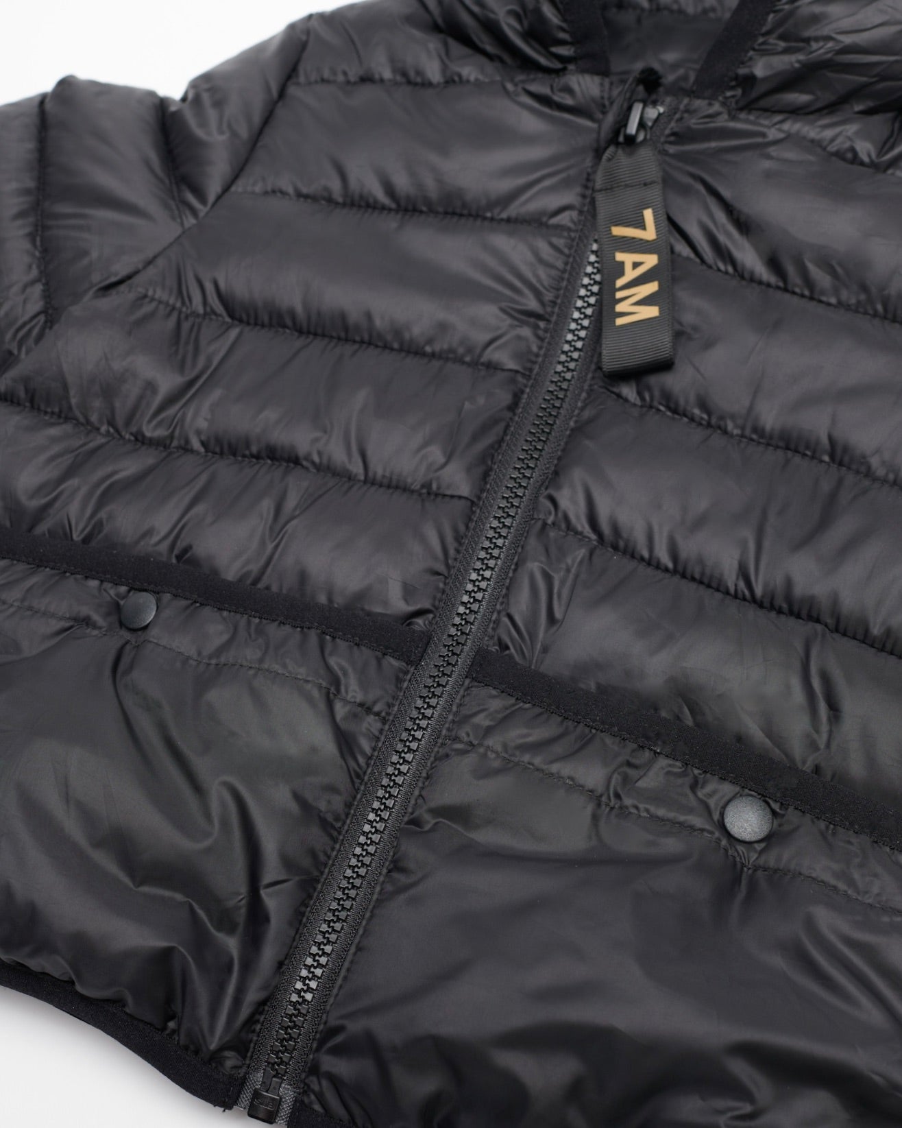 Black//