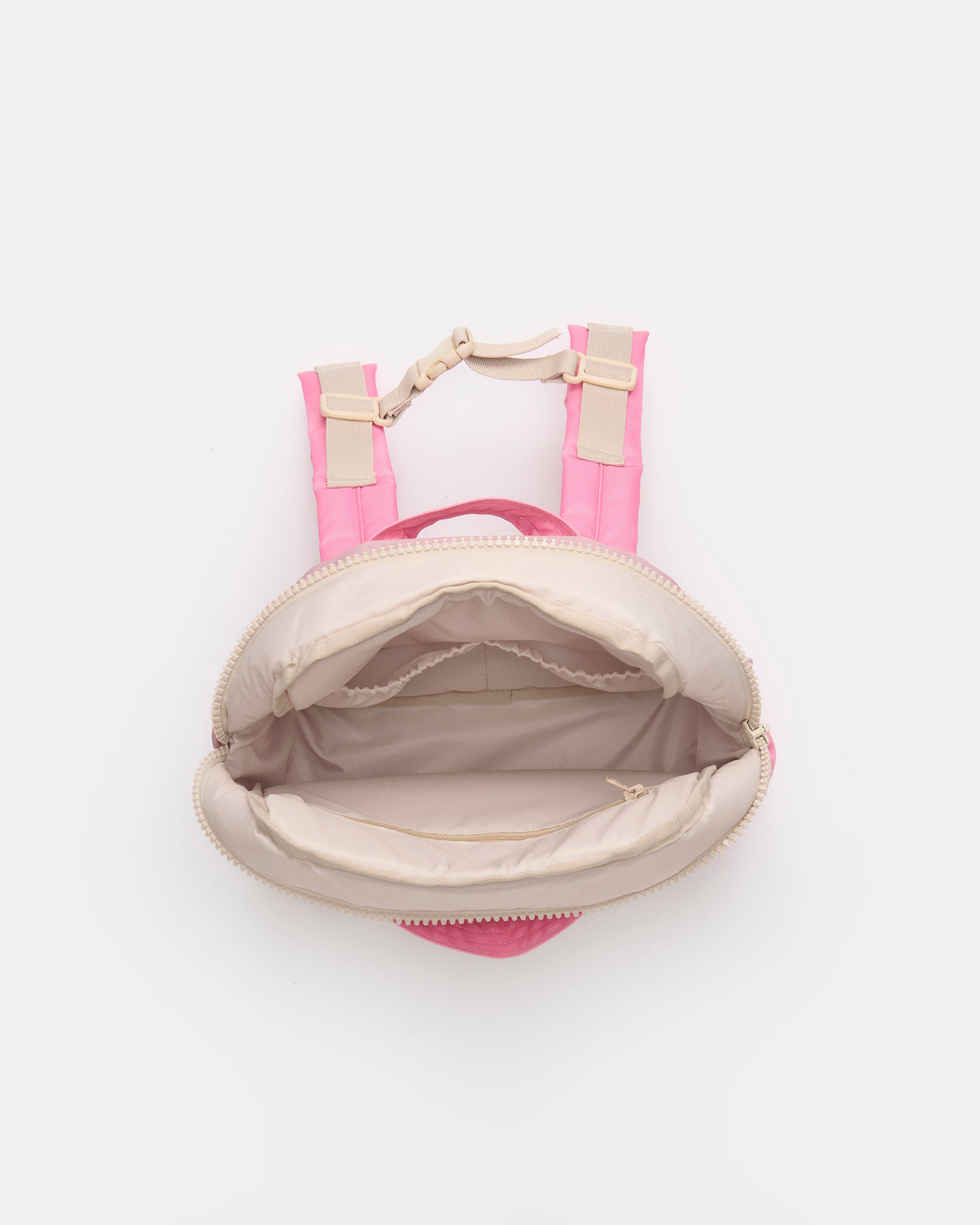 Ash Rose, Ecru, Pink//